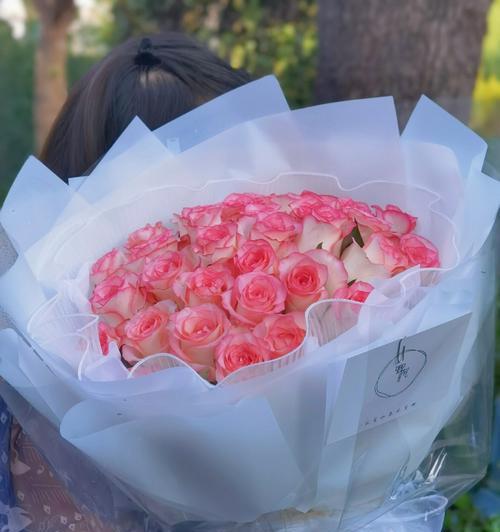 很像艾莎玫瑰花的花语是什么？这种花的寓意有何特别之处？
