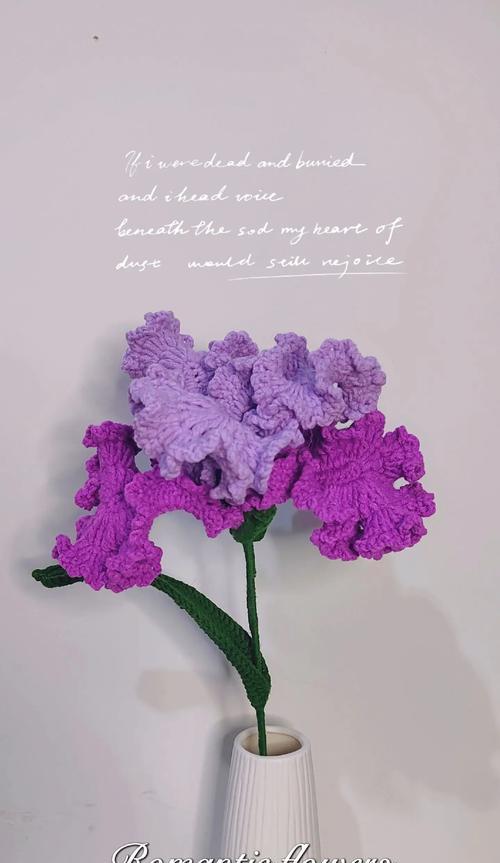 钩花的花语有何特殊含义？适合哪种场合赠送？
