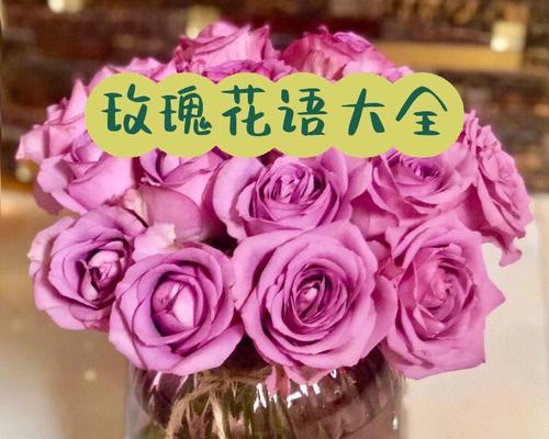 送玫瑰给情人有何深意？花语中情人玫瑰代表什么？