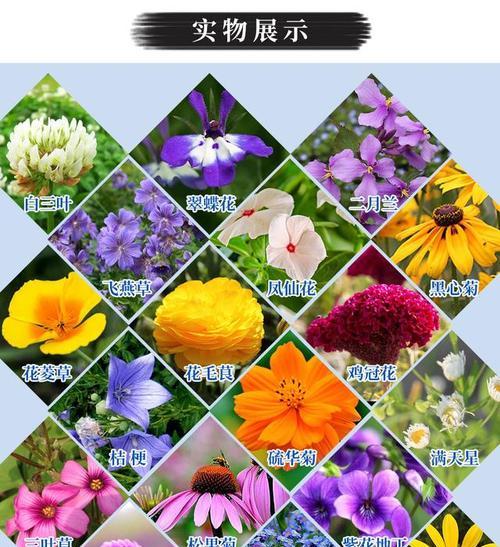 什么花语代表了厉害和坚韧？