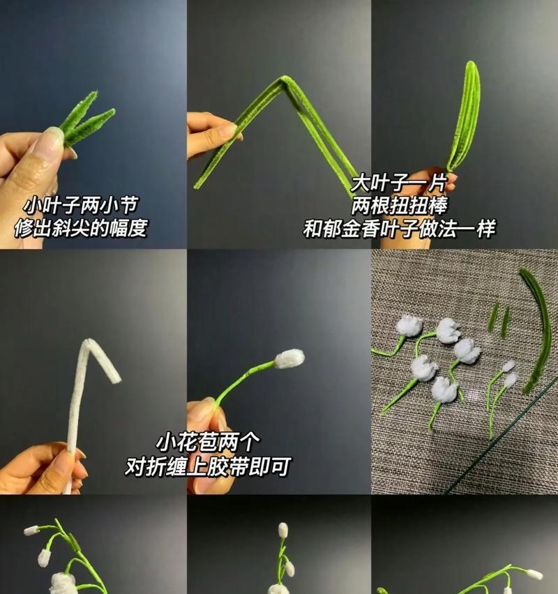 用哪种花语来表达歉意最合适？