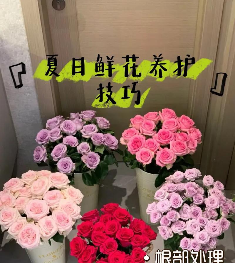 鲜花养护的秘诀是什么？