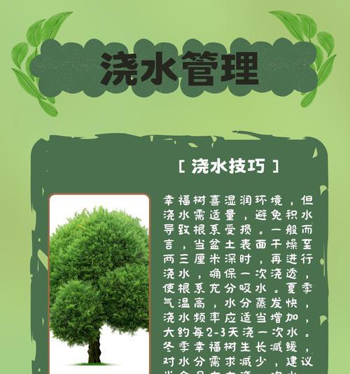 幸福树剪枝需要注意哪些事项？