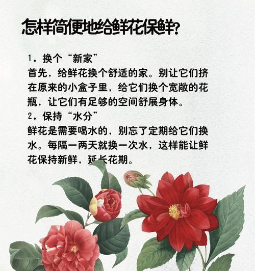鲜花应该用什么水来保鲜？不同类型的鲜花保鲜水有何不同？