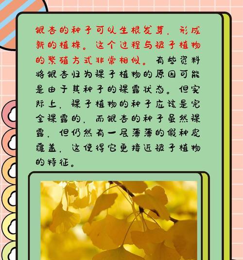 银杏树的繁殖方式有哪些？如何提高成活率？