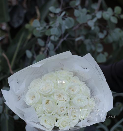 白玫瑰搭配哪种花最合适？如何进行花艺设计？