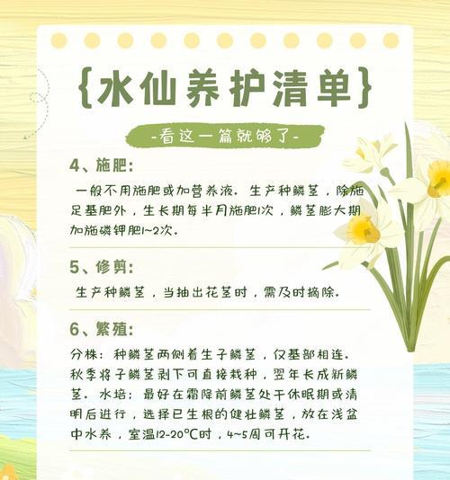 水仙的养殖技巧有哪些？水仙养殖需要注意什么？