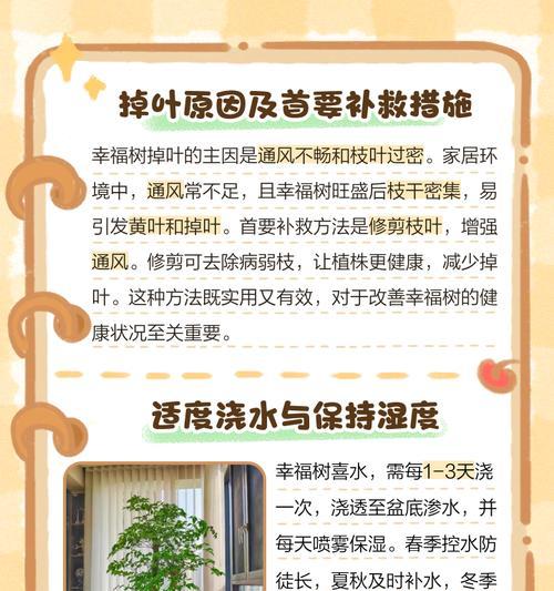 幸福树叶子卷曲的原因是什么？如何恢复其正常生长？