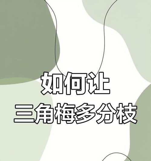 三角梅枝条过长如何修剪？修剪后如何促进侧枝生长？
