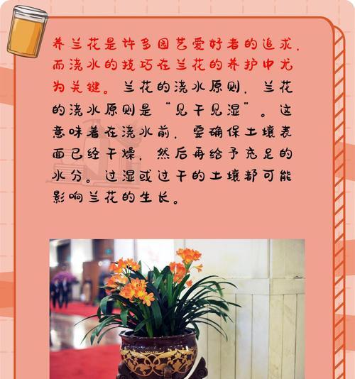 建兰浇水的正确方法是什么？