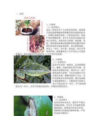 花卉的日常养护技巧有哪些？如何处理花卉常见病虫害？