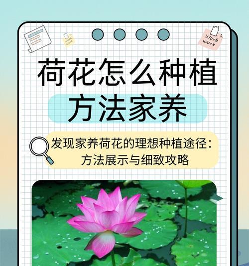 种植土怎么配才合适？不同植物对土壤的需求有何不同？