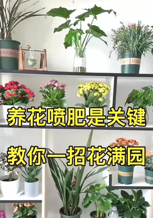 花卉施肥过量如何补救？