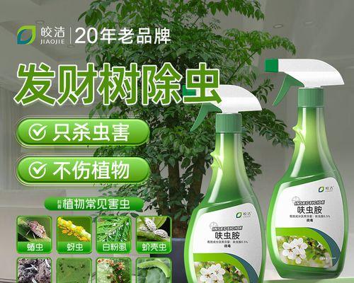 盆栽土壤出现虫害怎么办？如何有效处理？