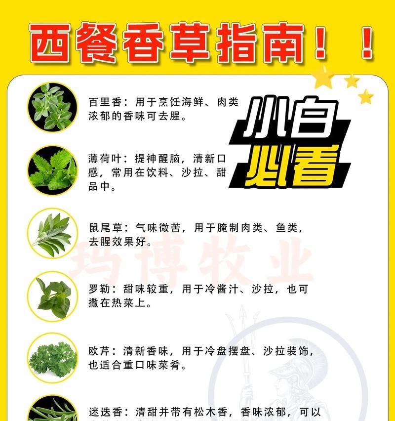九里香的用途和功效是什么？如何正确使用？