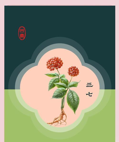 三七的种植技巧有哪些？怎样才能长得好？