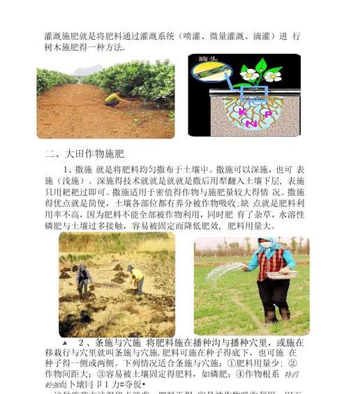 榕树施肥需要注意什么？最佳施肥时间是什么时候？