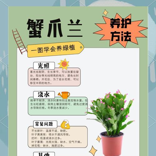 蟹爪兰叶子黄化的原因及解决方法？