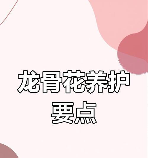 龙骨浇水的正确方法是什么？