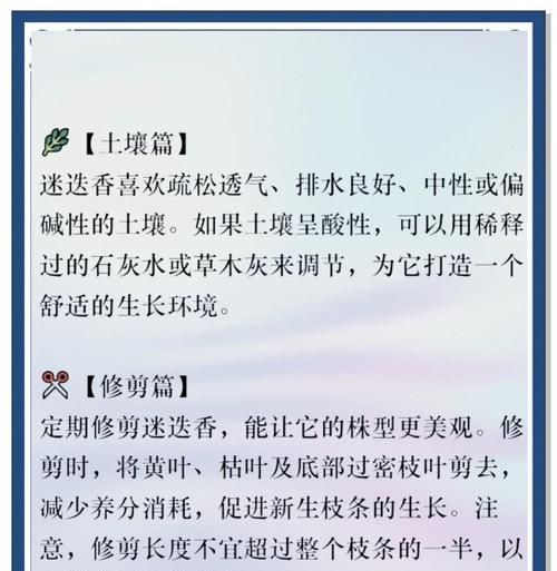 迷迭香繁殖的有效方式有哪些？怎样才能繁殖成功？