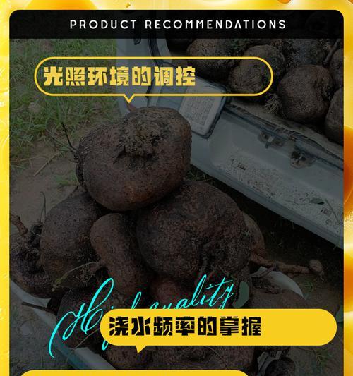 地不容如何繁殖？地不容繁殖的有效方法有哪些？