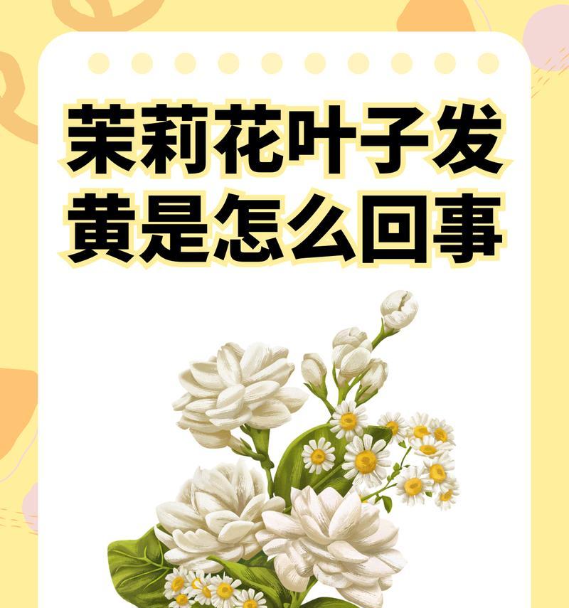 花卉叶子变黄是什么原因？如何预防和解决叶子发黄问题？