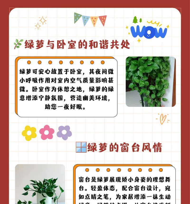 绿萝生长缓慢怎么办？如何促进绿萝快速生长？