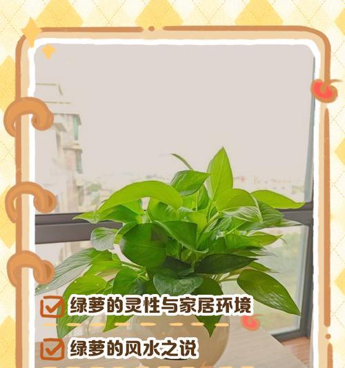绿萝生长缓慢怎么办？如何促进绿萝快速生长？