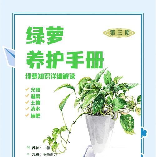 绿萝生长缓慢怎么办？如何促进绿萝快速生长？