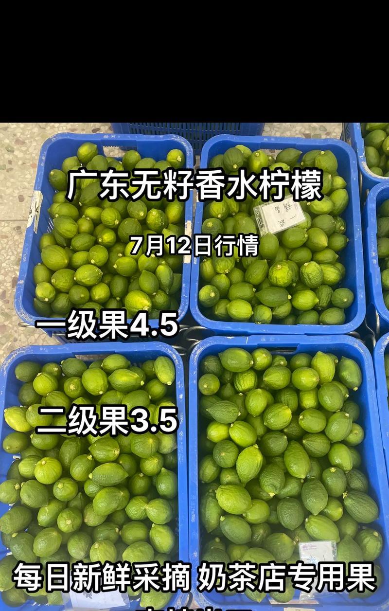 柠檬盆景的养殖技巧是什么？如何保持其果实品质？
