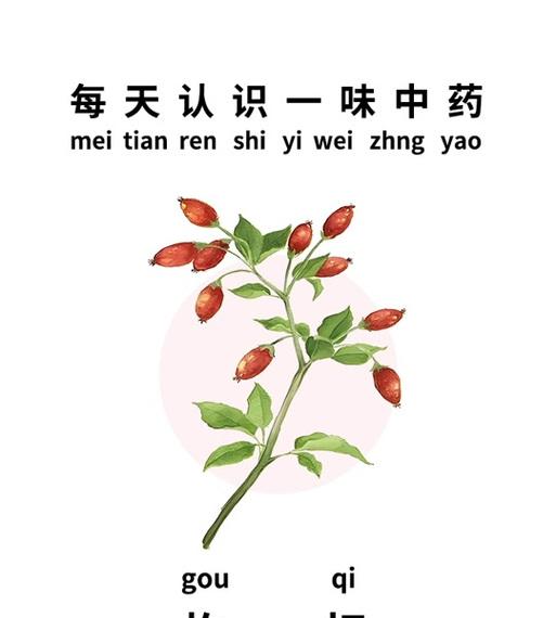 枸杞的养殖方法是什么？如何确保枸杞的健康生长？