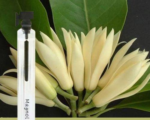 香水花的养殖环境要求是什么？如何保持香水花的香味持久？