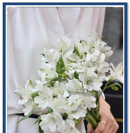 美好的友谊的花语是什么？它象征着什么？