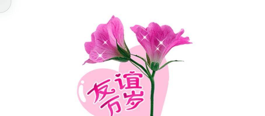 美好的友谊的花语是什么？它象征着什么？