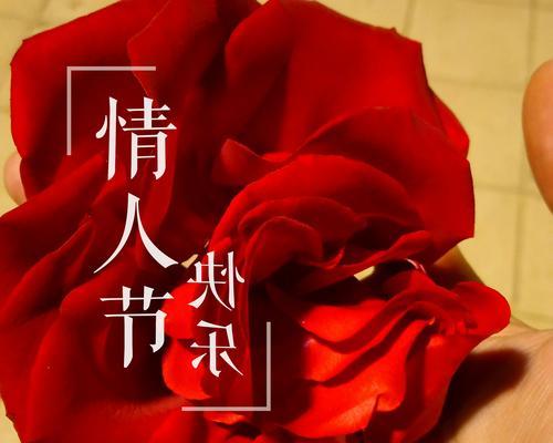情人节活动中的花语有哪些？