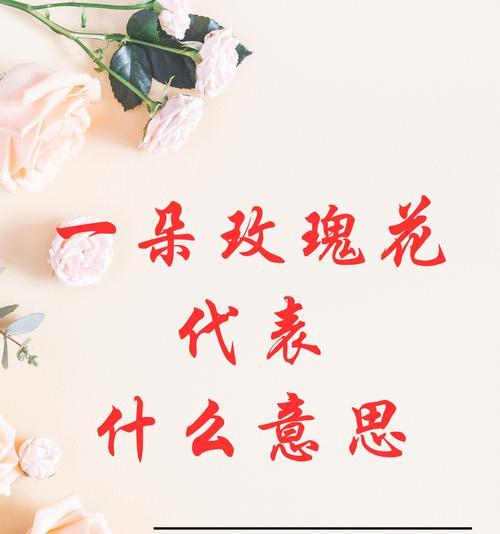 我是玫瑰代表什么？玫瑰花语中“我是”有何含义？