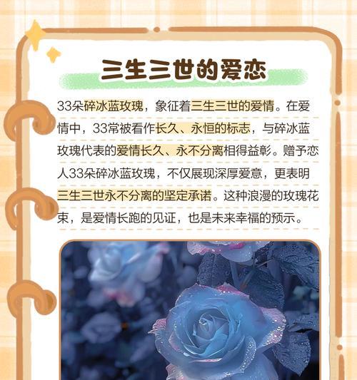 我是玫瑰代表什么？玫瑰花语中“我是”有何含义？