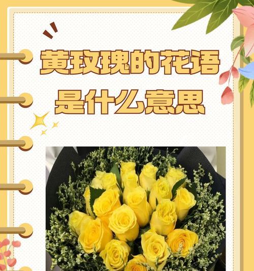 漫海的花语是什么？它表达了怎样的情感？