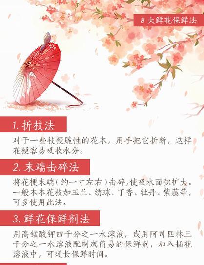 漫海的花语是什么？它表达了怎样的情感？