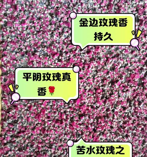 泡水玫瑰花有何特别含义？