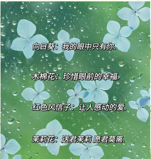 天气变化的花语是什么意思？花语如何反映天气？