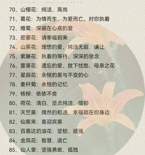 送暗恋男生的花束花语是什么？哪种花束最能表达心意？