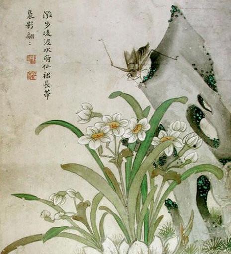 羊杂碎花语有何特别之处？探索不寻常的花卉寓意？