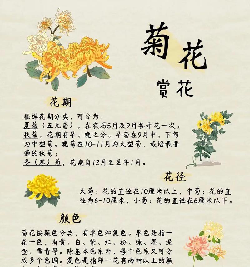 哪种花的花语象征短暂而美丽？它的含义是什么？