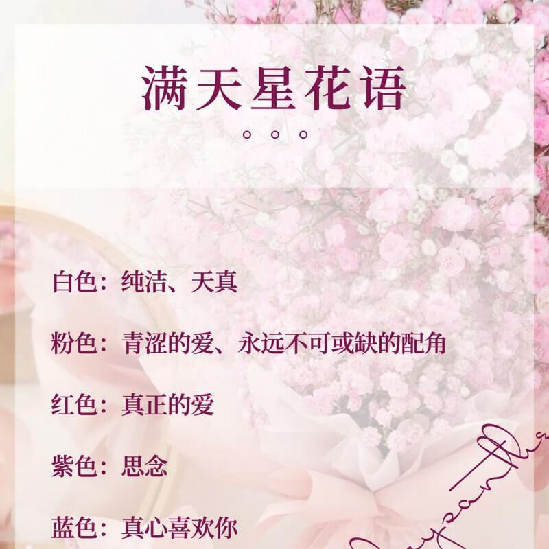 哪种花代表自由和热情的花语？
