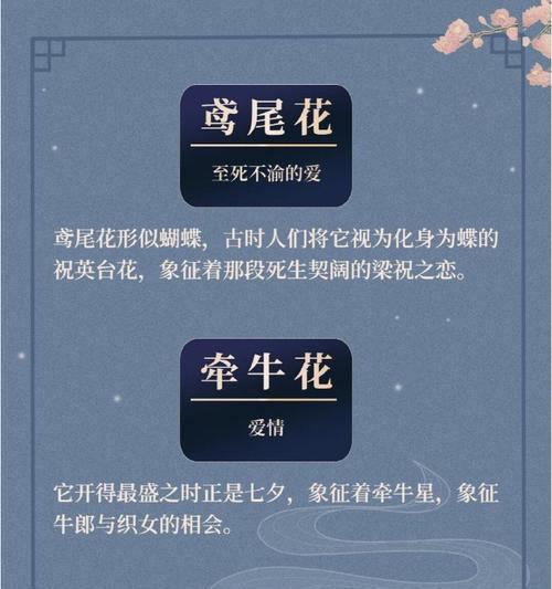 看望已故兄弟时应选择哪种花语？