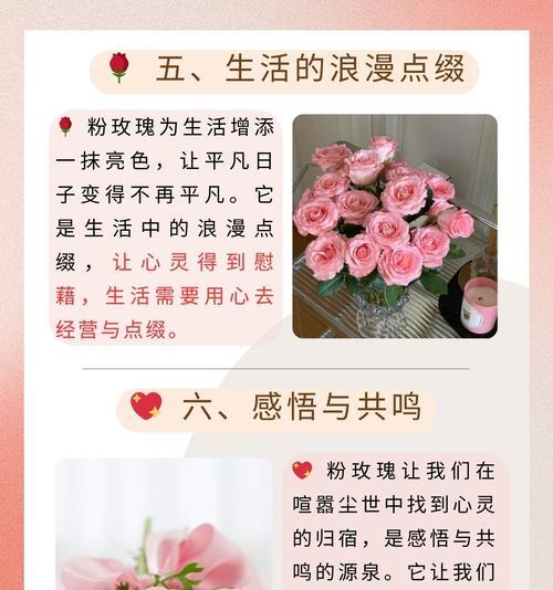 如何用花语表达对老公的爱意？