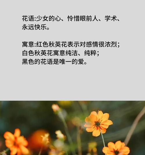 什么花语让人开心的句子？哪些花语能带来快乐？