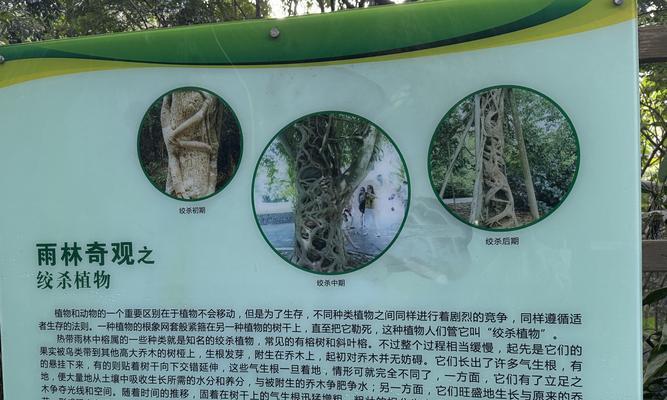 花语堂不走大门的原因是什么？