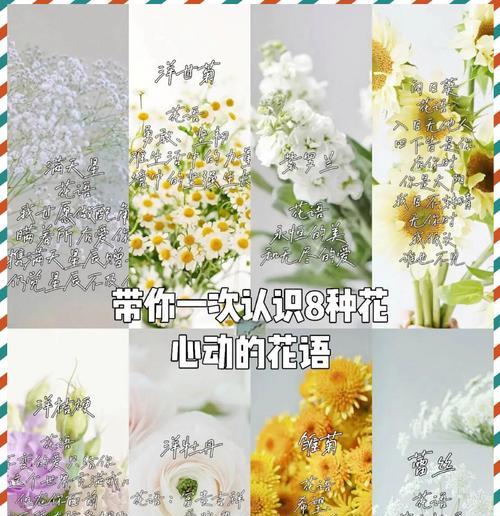 花语堂不走大门的原因是什么？